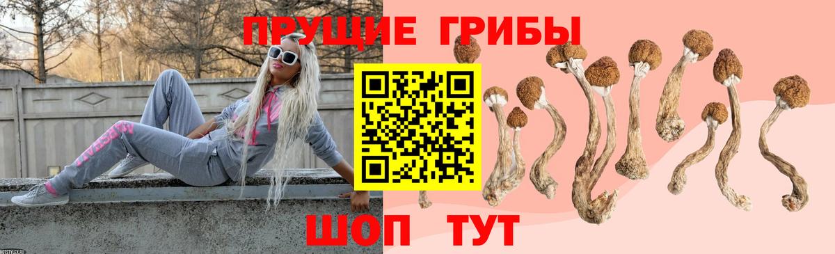 Псилоцибиновые грибы мухоморы Отрадное