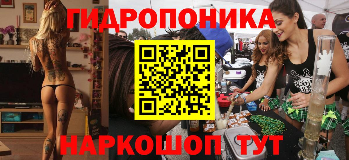 Каннабис индика  Каннабис OG Kush  Бошки Шишки семена  Шишки марихуана AK-47  Отрадное  Вход с VPN 